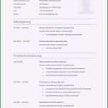 Selten Die Erstaunliche Bewerbung Praktikum Schüler 8 Klasse