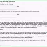 Selten Die Fabelhaften Berliner Testament Vorlage Kostenlos Pdf