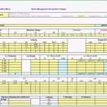 Selten Einzigartiges Risikoanalyse Vorlage