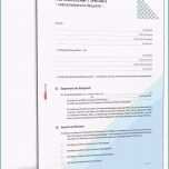 Selten Elternbürgschaft Vorlage Miete Luxus 6 Bürgschaft Miete