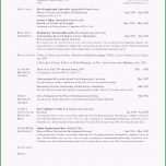 Selten Englischer Lebenslauf Muster Ebenbild Fantastisch Gute