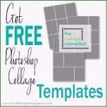 Selten Free Download Shop Here Find Free Shop Blog