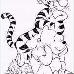 Selten Frosch Vorlage Zum Ausmalen