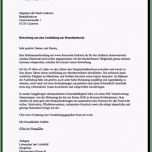 Selten Fsj Anschreiben Vorlage – Karimdarwish