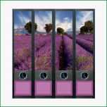 Selten Geschenkwichtel ordner Rückenschilder Provence ordner