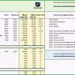 Selten Gewinn Und Verlustrechnung Kleinunternehmer Vorlage