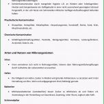 Selten Haccp Checklisten Für Küchen Haccp Excel formular