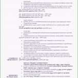 Selten Handschriftliches Testament Vorlage Genial Testament