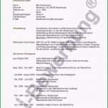 Selten Interne Bewerbung Vorlage Schön Interne