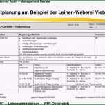 Selten Internes Audit Management Review Pdf