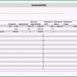 Selten Inventarliste Vorlage Excel format