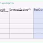 Selten Key Account Management Werkzeuge Key Account Plan