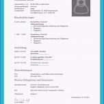 Selten Kostenlose Lebenslauf Muster Und Vorlagen Für Deine