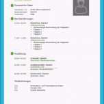 Selten Kostenlose Lebenslauf Muster Und Vorlagen Zum Download