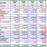 Selten Kostenplan Vorlage