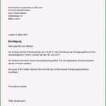 Selten Kündigung Arbeitsvertrag Vorlage Genial Kündigung