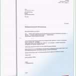 Selten Kündigung Der Kfz Versicherung Muster Vorlage Zum Download