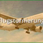 Selten Kündigung Fahrschule Muster Musterix