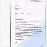 Selten Kündigung Gemeinsamer Mietvertrag Schön Besten Der