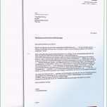 Selten Kündigung Mietvertrag Fristlos Mieter Muster Vorlage