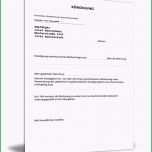 Selten Kündigung Mietvertrag