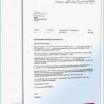 Selten Kündigung Mitgliedschaft Vorlage Kostenlos Erstaunlich