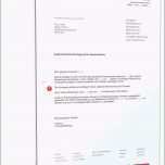 Selten Kundigung Mobilfunkvertrag Rufnummernmitnahme Vorlage