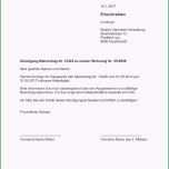 Selten Kündigung Wohnung Mietvertrag Vorlage