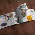 Selten Layout Vorlagen Schülerzeitung Abizeitung