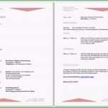 Selten Lebenslauf Beispiel Vorlage Und Muster