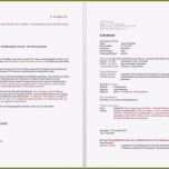 Selten Lebenslauf Erzieherin Einzigartiges Neues Bewerbung