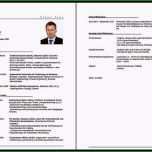 Selten Lebenslauf Muster Als Vorlage