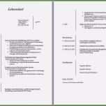 Selten Lebenslauf Schüler Vorlage Word Elegant 9 Vorlage