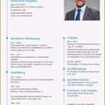 Selten Lebenslauf Vorlage Für Praktikum Erstaunlich 14 Lebenslauf