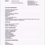 Selten Lebenslauf Vorlage Openoffice Open Fice Lebenslauf