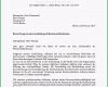 Selten M2 Bewerbung