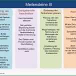 Selten Meilensteine Und Checkliste Erfolgreiche
