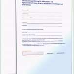 Selten Neu 28 Beispielenda Englisch Vorlage Kenramsley