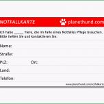 Selten Notfallkarte Für Tierhalter Hundezubehör