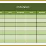 Selten organigramm Vorlage Leer Angenehm 9 Wochentabelle Vorlage