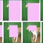 Selten Powerpoint Dalli Klick Vorlage – Download Vorlagen