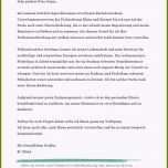 Selten Praktikumszeugnis Vorlage Schüler Modell