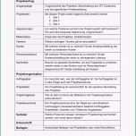 Selten Projektantrag Vorlage Word format