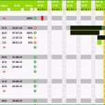 Selten Projektplan Excel