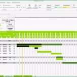 Selten Projektplan Excel