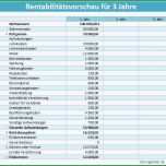 Selten Rentabilitätsvorschau Rentabilitätsplan Finanzplan