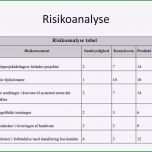 Selten Risikoanalyse Vorlage