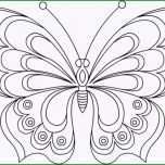 Selten Schmetterling Malvorlage 04 Vorlagen Zeichnen