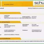 Selten Selbstauskunft Mieter Muster Zum Download