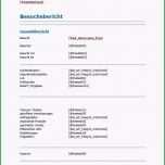 Selten Selbstauskunft Mieter Vorlage Word – Kostenlos Vorlagen